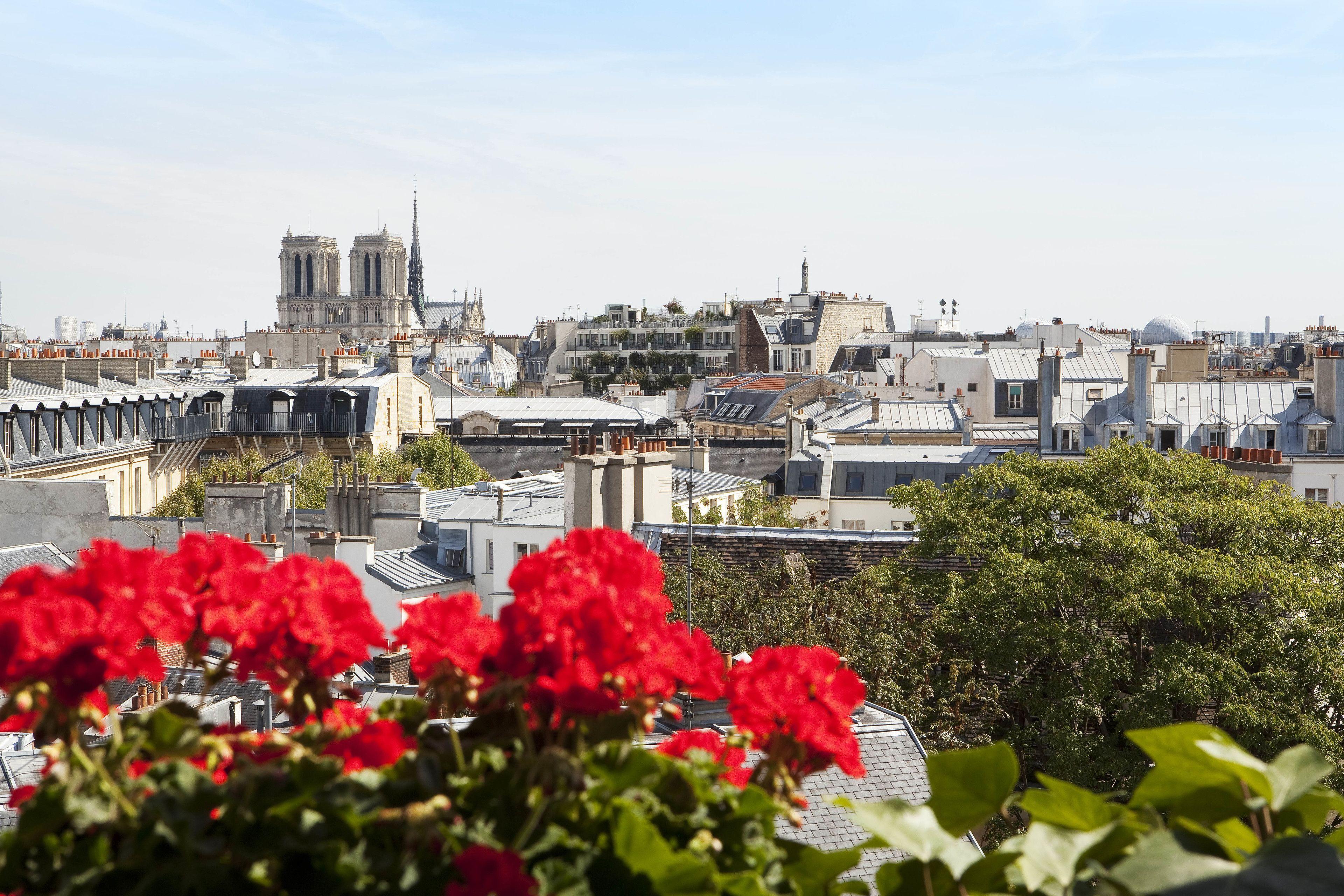 Left Bank Saint Germain Hotel Paris